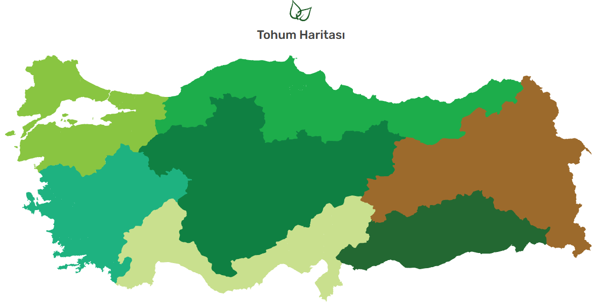 Bölgenize Göre Doğru Tohumu Nasıl Seçersiniz? Türkiye Asgen Tohum Ekim Haritası Rehberi