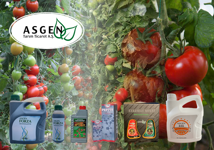 Domatesin Ekilişinde ve Yetiştirilmesinde Kullanılan Gübreler Hakkında Sıkça Sorulan Sorular